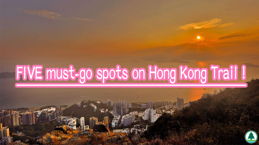 FIVE must-go spots on Hong Kong Trail