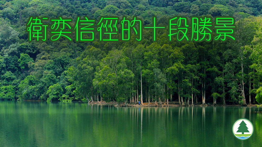 卫奕信径的十段胜景