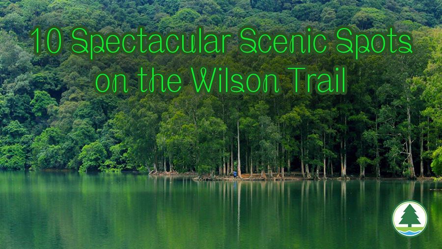 Ten spectacular scenic spots on the Wilson Trail