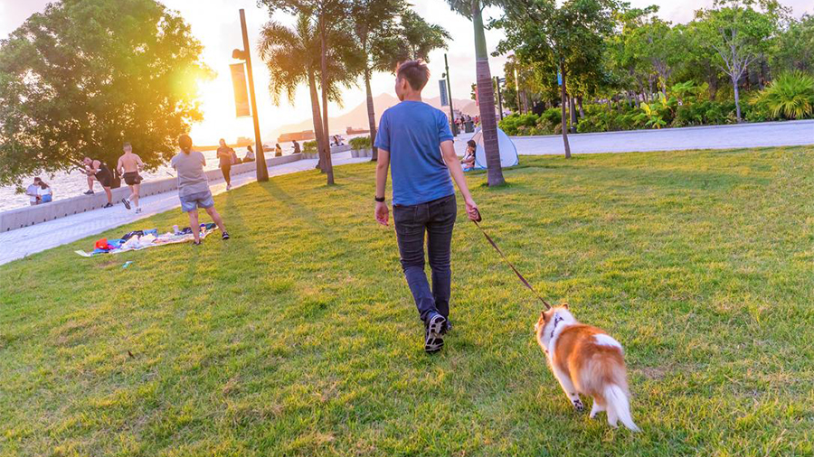 Why West Kowloon is perfect for pets