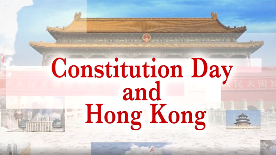 Constitution Day (4 December)