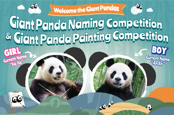 Giant Panda Naming and Painting Competition